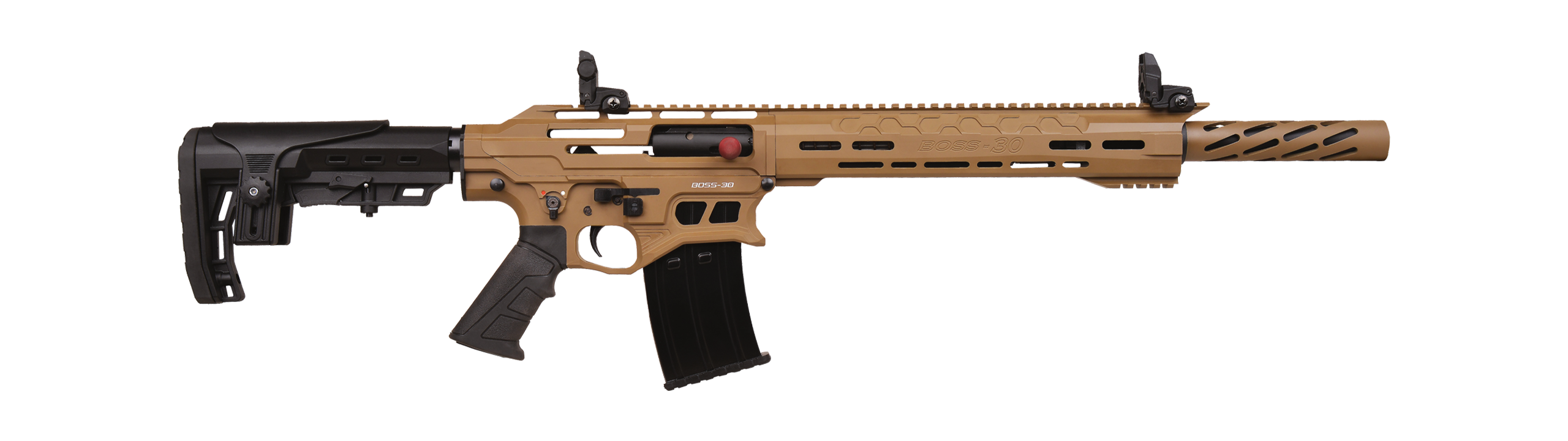 BOSS-30 FDE